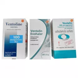 Вентолин аэрозоль ЕВРОПА для ингал. 100 мкг/доза 200 доз фото